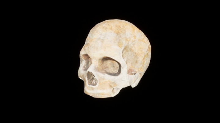 UE项目资源_模型资源_骨骼075