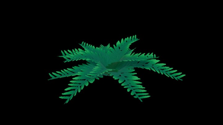 次世代_卡通_草047