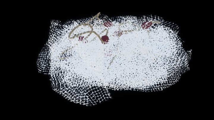 次世代_捕鱼网001