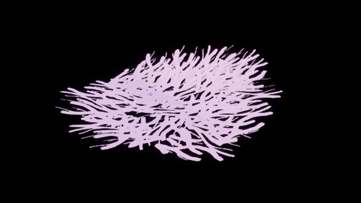 次世代_粗毛地毯001