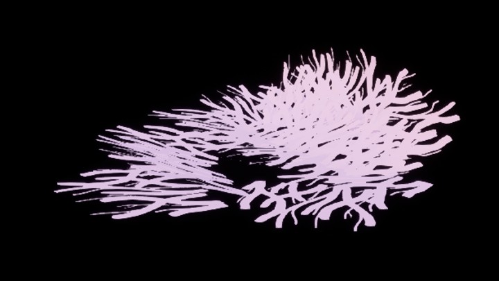 次世代_粗毛地毯003