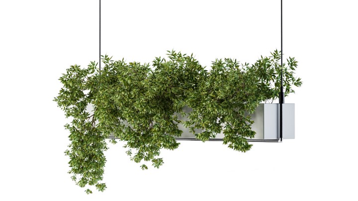 渲染模型_植物1602