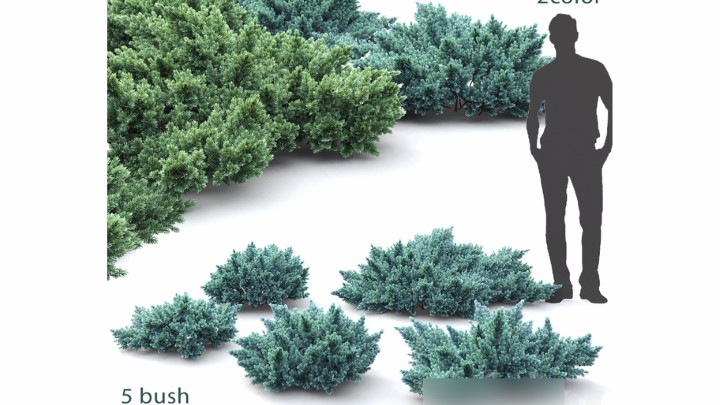 渲染模型_植物1604