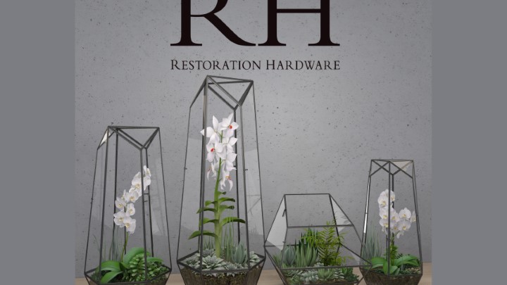 渲染模型_玻璃容器植物001