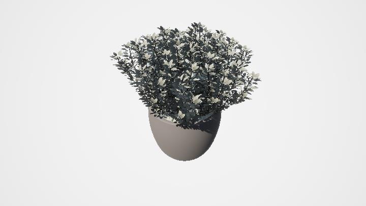 渲染模型_盆栽854