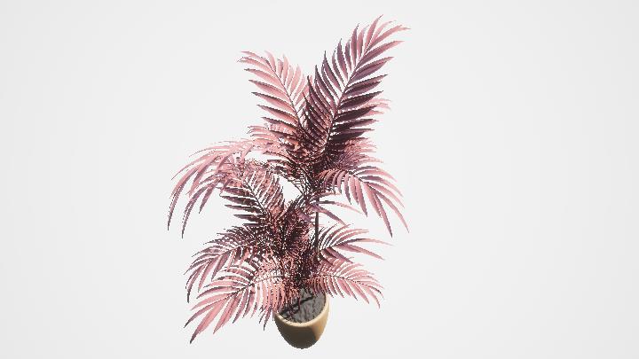 渲染模型_盆栽875