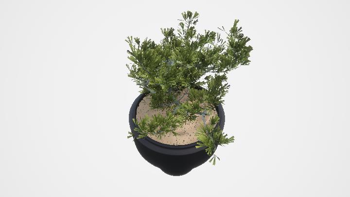 渲染模型_盆栽877