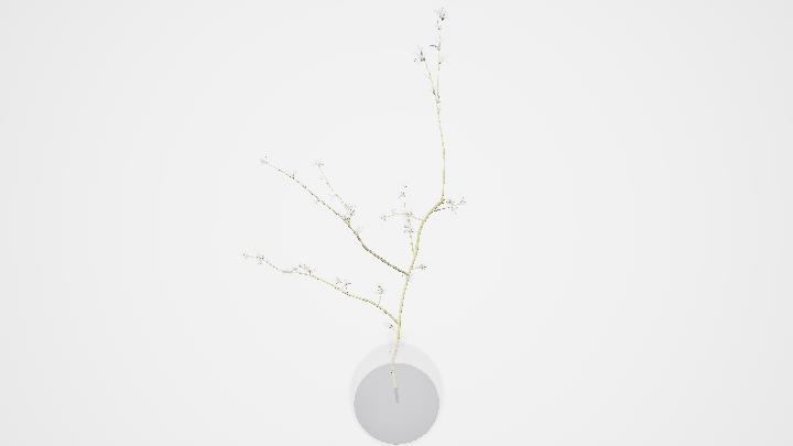 渲染模型_盆栽886