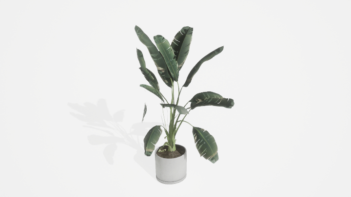 渲染模型_盆栽909