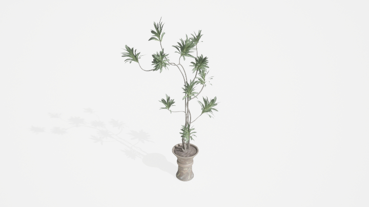 渲染模型_盆栽921