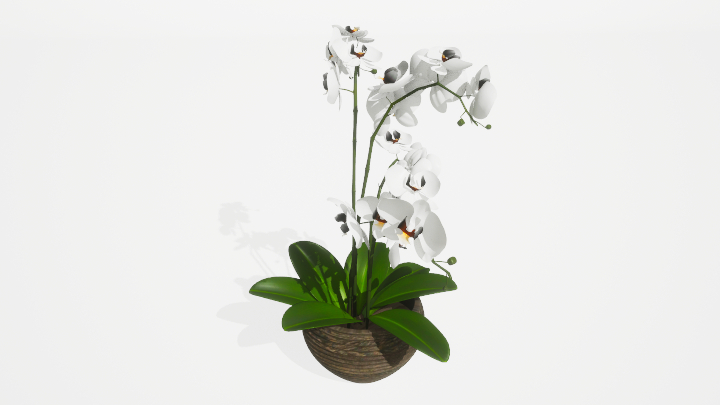 渲染模型_盆栽绿植507