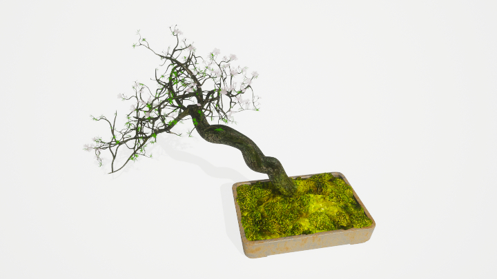 渲染模型_盆栽绿植518