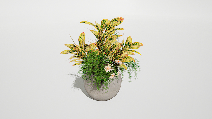 渲染模型_绿植盆栽802