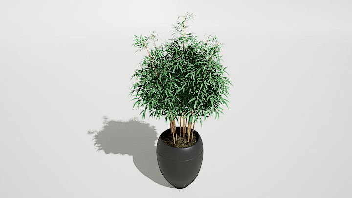 渲染模型_绿植盆栽803