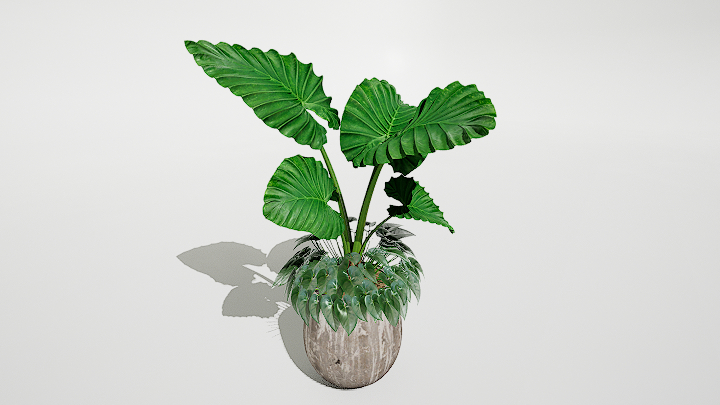 渲染模型_绿植盆栽804