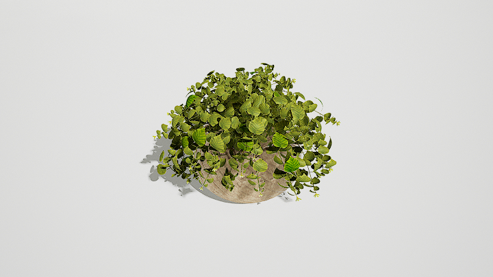 渲染模型_绿植盆栽811