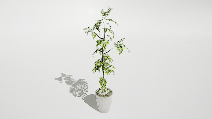 渲染模型_绿植盆栽825