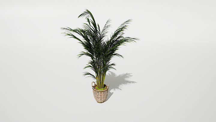 渲染模型_绿植盆栽857