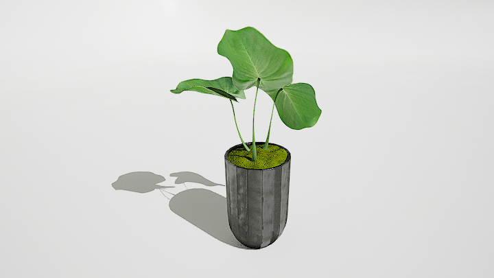 渲染模型_绿植盆栽864