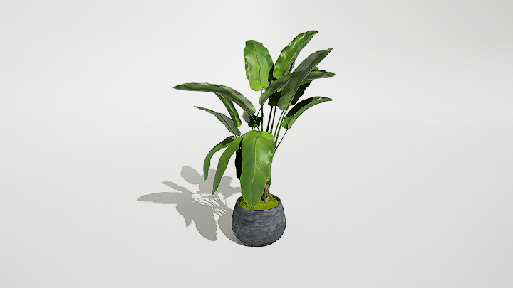 渲染模型_绿植盆栽866