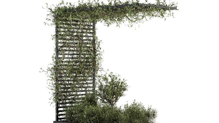 渲染模型_藤曼001