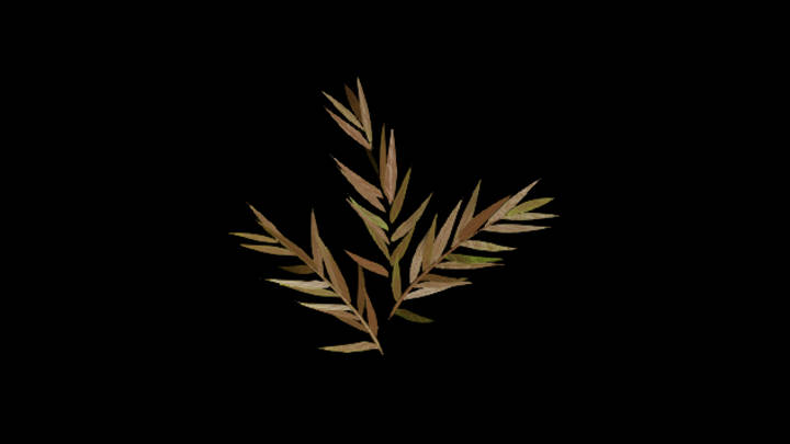 UE项目资源_模型资源_叶子047