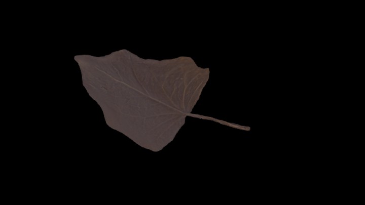 UE项目资源_模型资源_落叶082