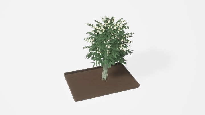 渲染模型_摆件686