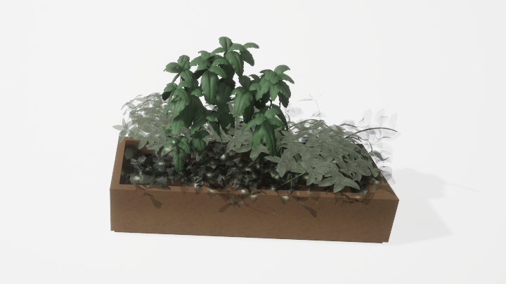 渲染模型_植物1606