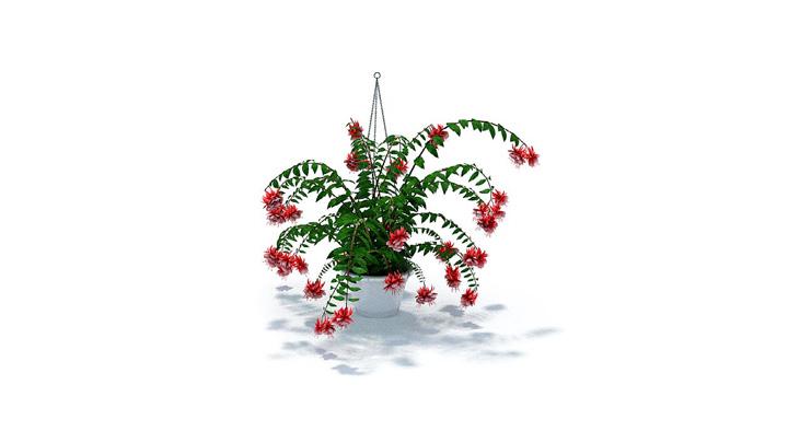 渲染模型_盆景184