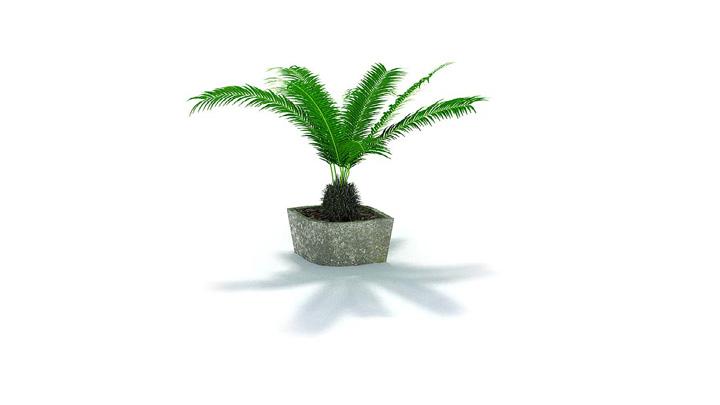 渲染模型_盆景186