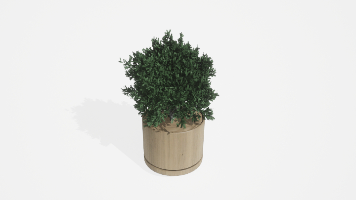 渲染模型_盆栽1055