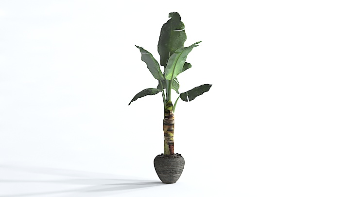 渲染模型_盆栽1063