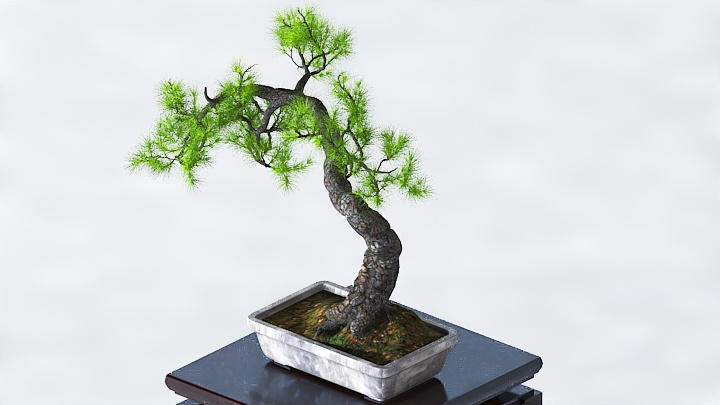 渲染模型_盆栽1065