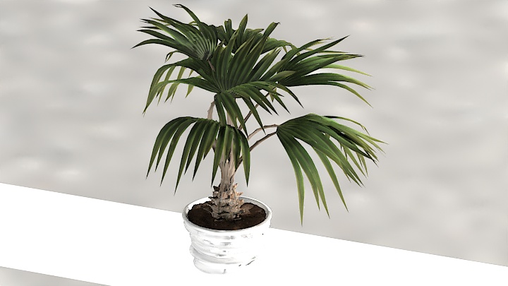 渲染模型_盆栽1070