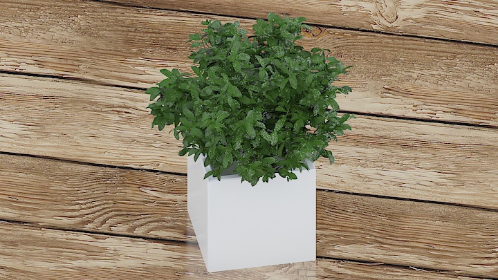 渲染模型_盆栽1074