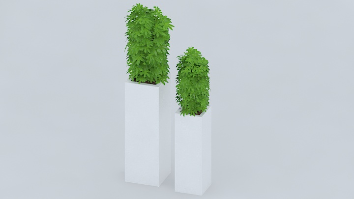 渲染模型_盆栽1076