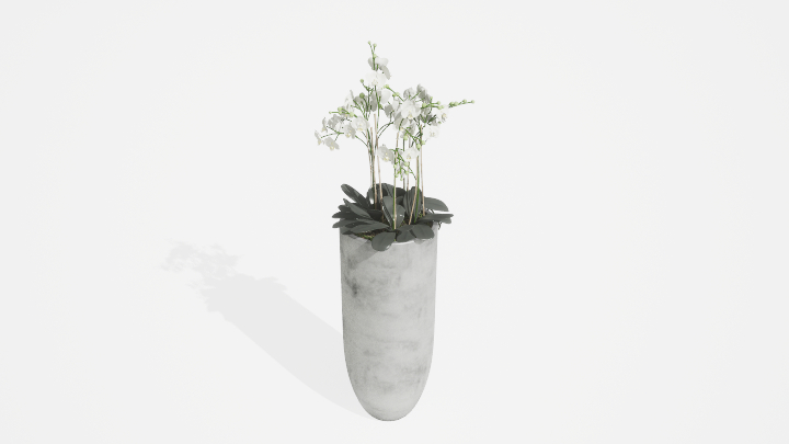 渲染模型_盆栽1082