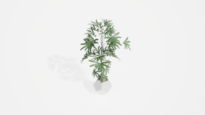 渲染模型_盆栽1097