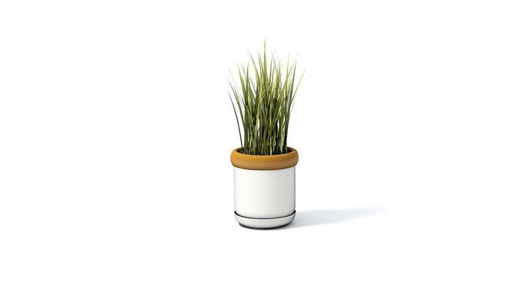 渲染模型_盆栽954