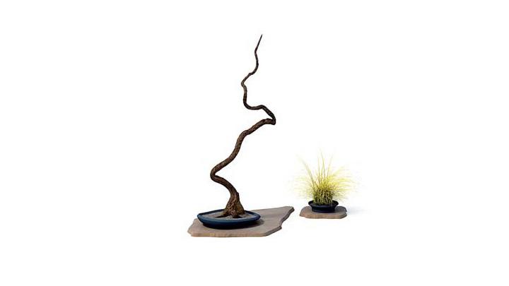 渲染模型_盆栽973