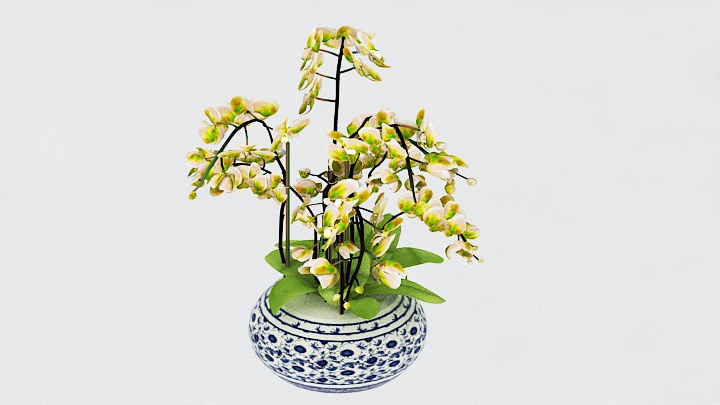 渲染模型_花瓶盆栽007