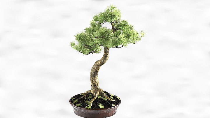 渲染模型_花瓶盆栽027