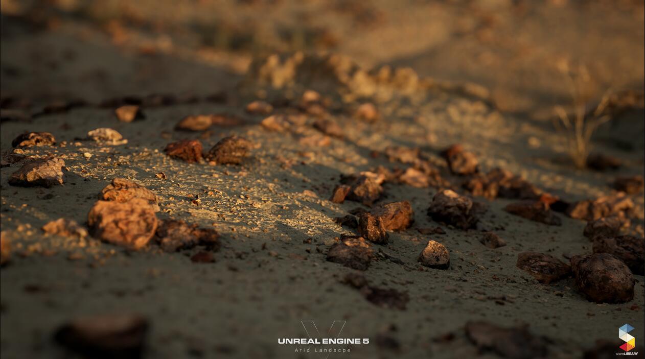 Arid Landscape (NANITE) 5.0沙漠岩石