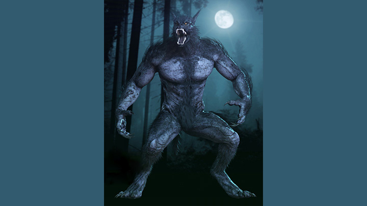 Daz3DPoser_狼人001