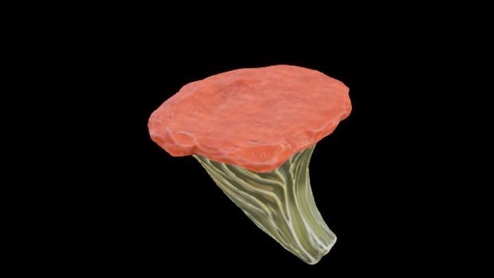 UE项目资源_模型资源_一颗红蘑菇001