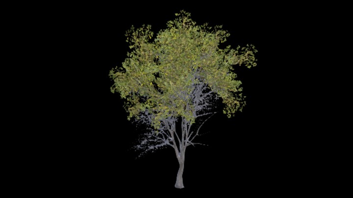 UE项目资源_模型资源_大树子001