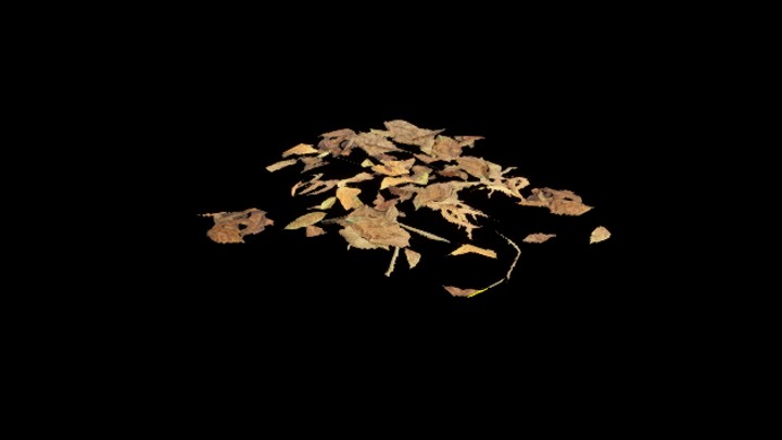 UE项目资源_模型资源_枯叶042
