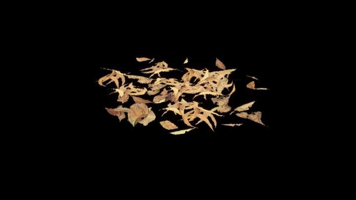 UE项目资源_模型资源_枯叶044