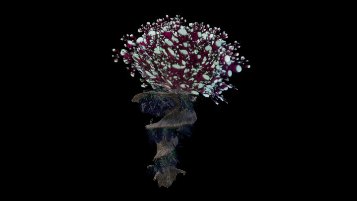 UE项目资源_模型资源_树2062